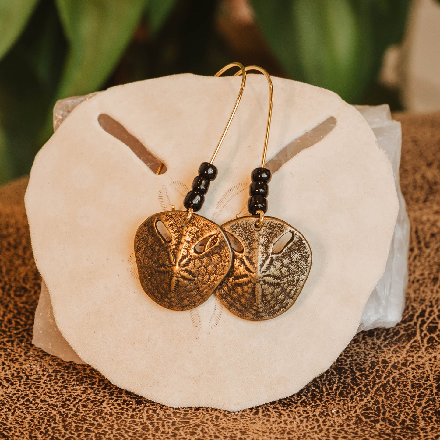 Pansy Shell Earrings