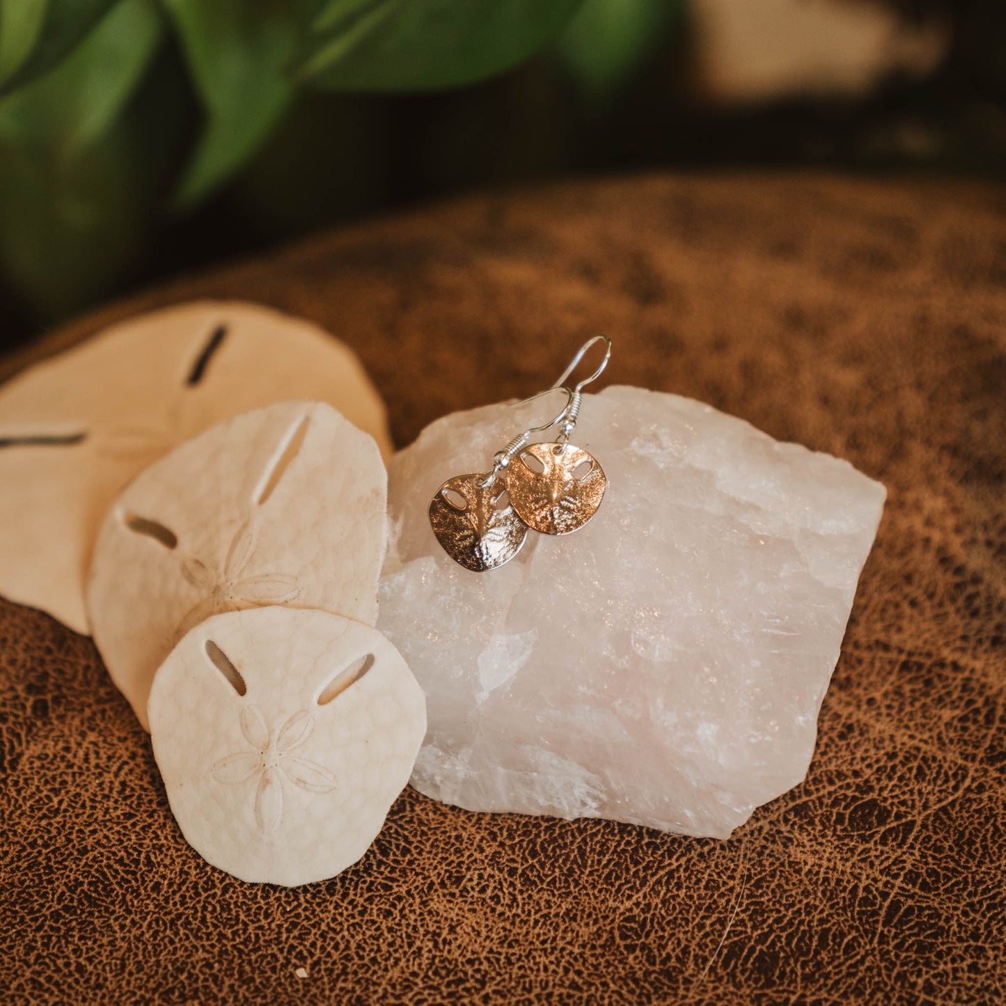 Pansy Shell Earrings